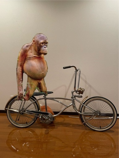 ローチャリ　　自転車　マウンテンバイク