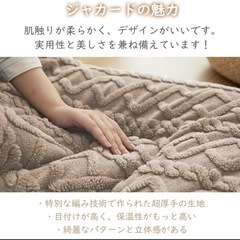 こたつ掛布団 正方形 リバーシブル 両面 厚手 約190×190cm ベージュの画像