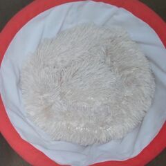 【新品・未使用・引き取り限定】ペットベッドの画像