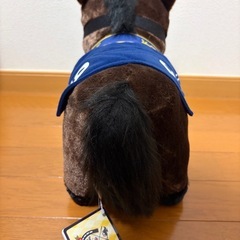 ドリームジャーニー9番 有馬記念の画像