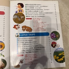 いのちの図鑑の画像