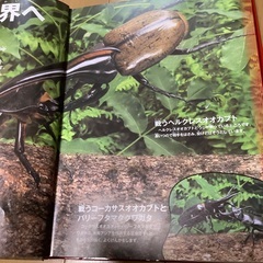学研の図鑑LIVE 昆虫　DVD付の画像