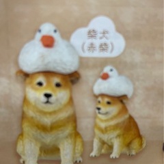 ガチャガチャ❗️柴犬  １回500円のものの画像