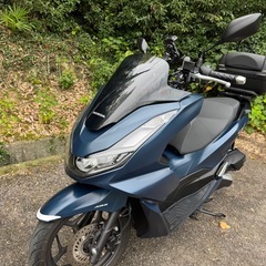 PCX  JK05 2023年モデル　の画像