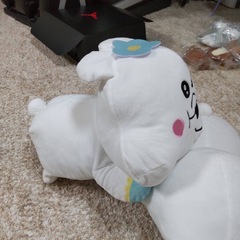 んぽちゃむ＆きみまろ8点セットの画像