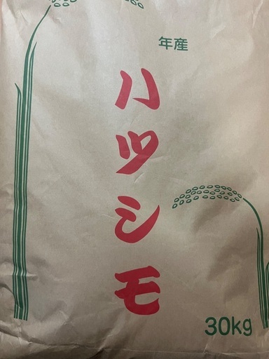令和7年度産　新米ハツシモ　30キロ　1等米級　減農薬　有機肥料
