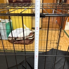 ドッグケージ　折りたたみ　犬の画像