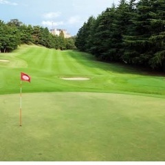ゴルフ仲間募集中です⛳️