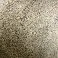 令和7年度産　新米ハツシモ　30キロ　1等米級　減農薬　有機肥料の画像