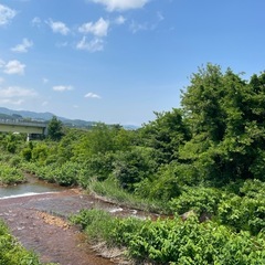 スパイク付き地下足袋の画像