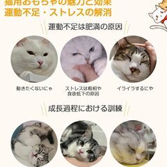【新品】猫 おもちゃ 電動 羽 一人遊び 猫じゃらし 自動 ストレス解消 猫玩具の画像
