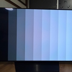 LG OLED48CXPJAの画像