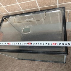 ジャンク水槽の画像