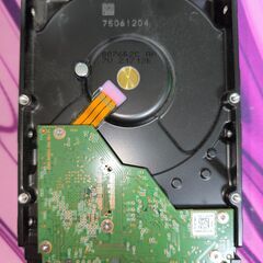 WesternDigital WD40EJRX 3.5インチ内蔵HDD 4TB ③の画像