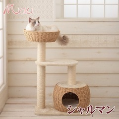 Mauキャットタワー シャルマンの画像