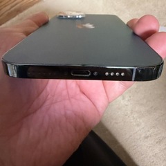 【美品】
iPhone12 Pro Max本体の画像
