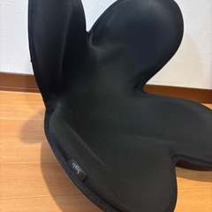 姿勢矯正シート【Style正規品】の画像