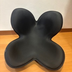 姿勢矯正シート【Style正規品】の画像