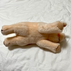 10/20取りに来れる方限定 Sissi こぶたのぬいぐるみの画像