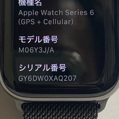 Apple Watch Series 6 GPS+Cellularモデル 40mmの画像