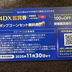 安城コロナ 4DX シネマチケット 鑑賞券 映画の画像