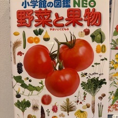 小学館の図鑑4冊の画像
