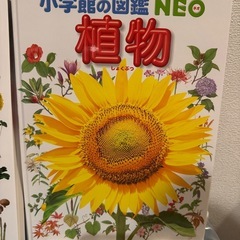 小学館の図鑑4冊の画像