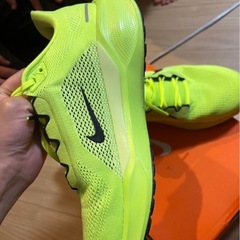 NIKE ペガサス41ボルトカラー29㌢の画像