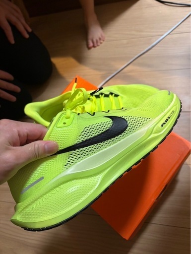 NIKE ペガサス41ボルトカラー29㌢