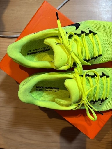 NIKE ペガサス41ボルトカラー29㌢