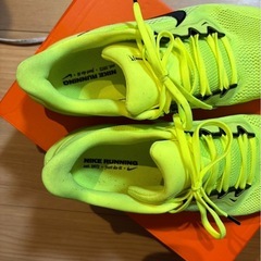 NIKE ペガサス41ボルトカラー29㌢の画像