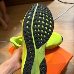 NIKE ペガサス41ボルトカラー29㌢の画像