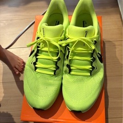 NIKE ペガサス41ボルトカラー29㌢の画像