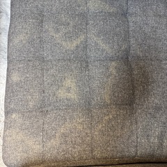 【期限あり】ソファー　2人掛け（引越し処分）　の画像