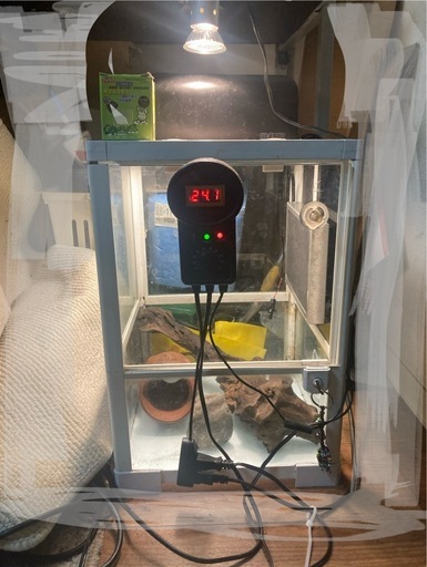 爬虫類ゲージ、サーモスタット、ヒーター、ライトその他セット