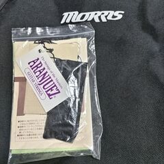 Morris  ミニアコースティックギター LA-011 TSの画像