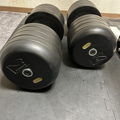 BODYMAKER 50kgダンベルの画像