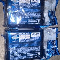 ボディシート 2個セットの画像