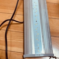 水槽用　LEDライト　の画像