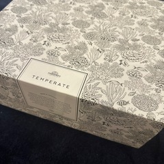 TEMPERATE レインブーツの画像
