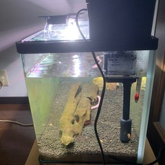 60センチ水槽フルセット！使用期間3ヶ月の画像