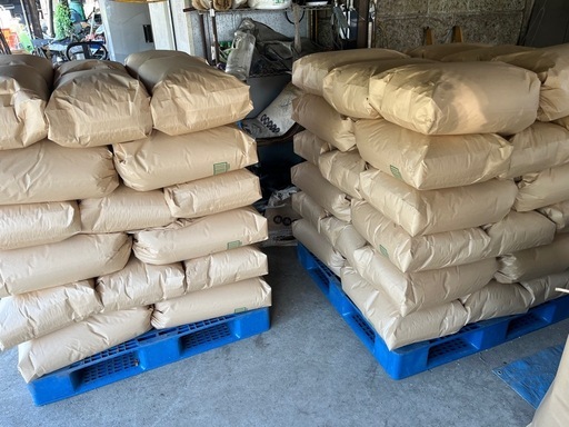 新米コシヒカリ玄米_30kg_配達無料