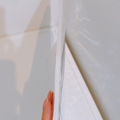 ダイソー ルーズリーフA4の画像