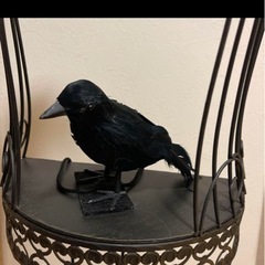 カラス　リアル　ハロウィン　コスプレ　鳥雑貨　インテリア　オブジェ　ガーデニングの画像