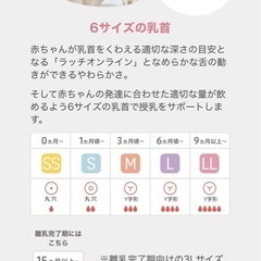 ピジョン 母乳実感乳首 1ヵ月 1つのみの画像