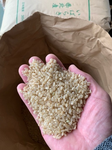 令和7年産　新米
にじのきらめき　玄米30kg     