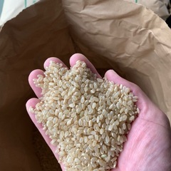 第一回　にじのきらめき　玄米30kg   
限定10袋の画像