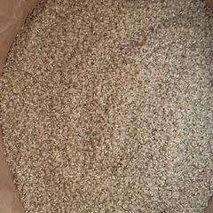 第一回　にじのきらめき　玄米30kg   
限定10袋の画像