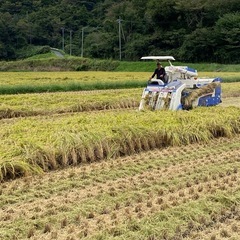 第一回　にじのきらめき　玄米30kg   
限定10袋の画像