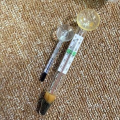 水温計2個
の画像